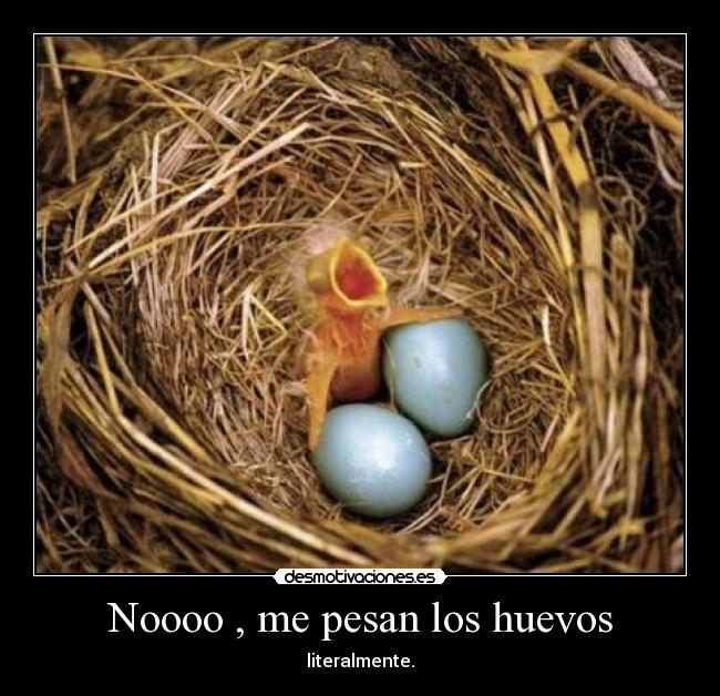 Noooo , me pesan los huevos -