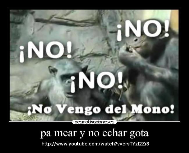pa mear y no echar gota - 