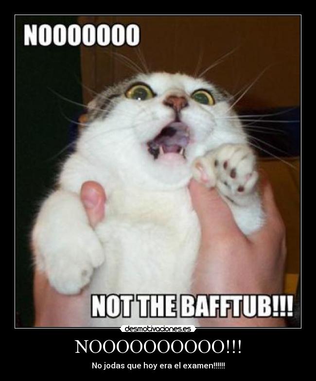 NOOOOOOOOOO!!! - No jodas que hoy era el examen!!!!!!
