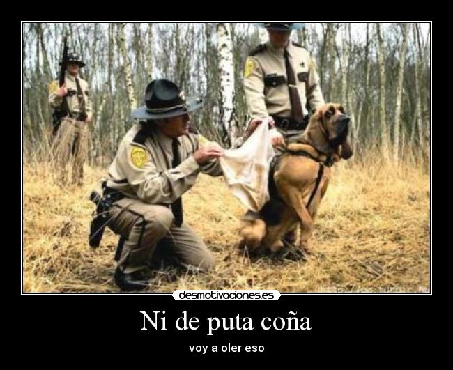 Ni de puta coña - voy a oler eso