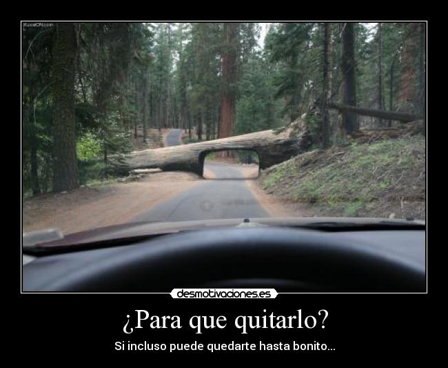 carteles lool desmotivaciones