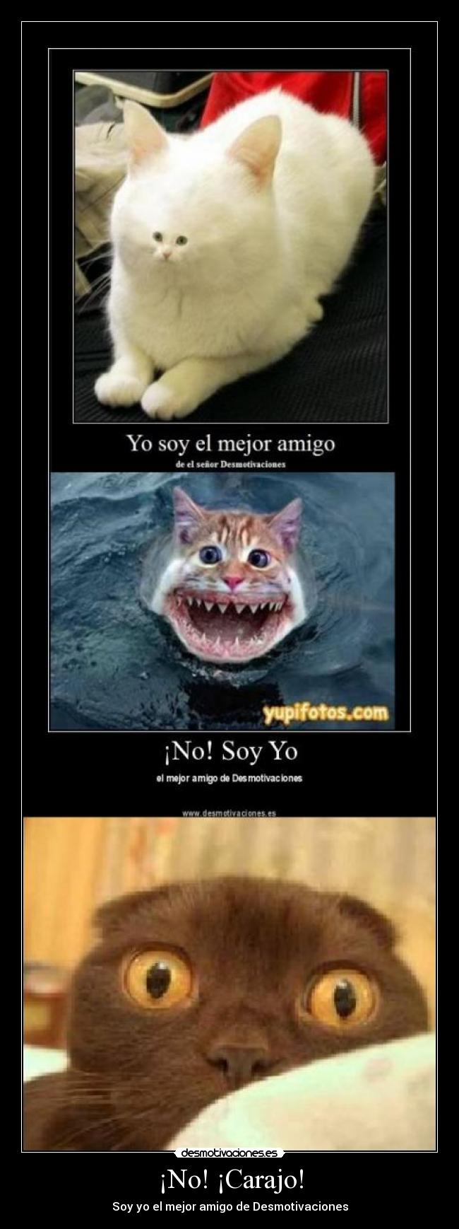 ¡No! ¡Carajo! - Soy yo el mejor amigo de Desmotivaciones