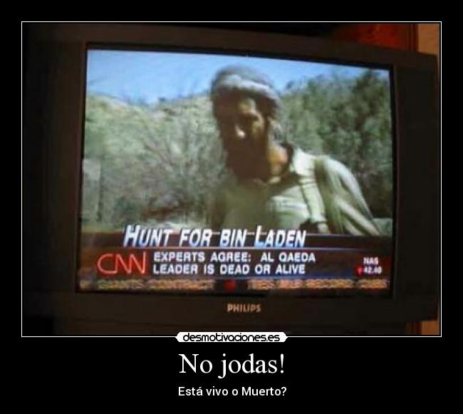 carteles lol desmotivaciones