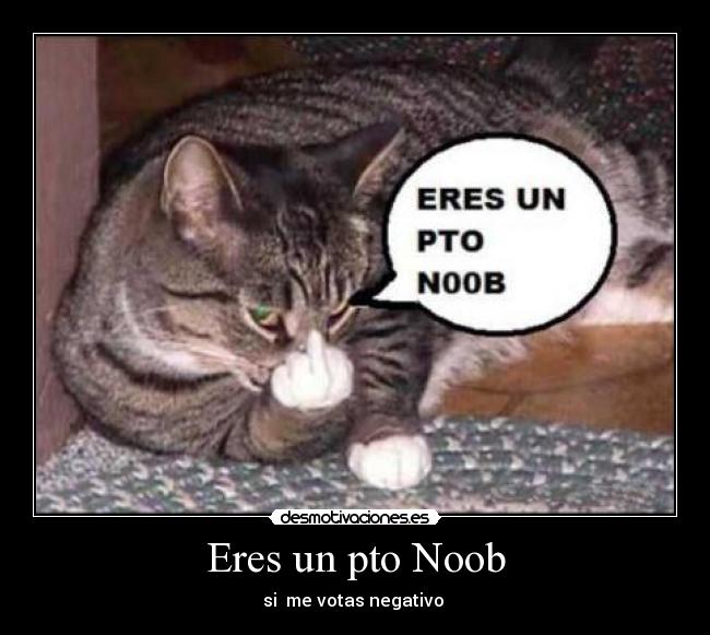 Eres un pto Noob - 
