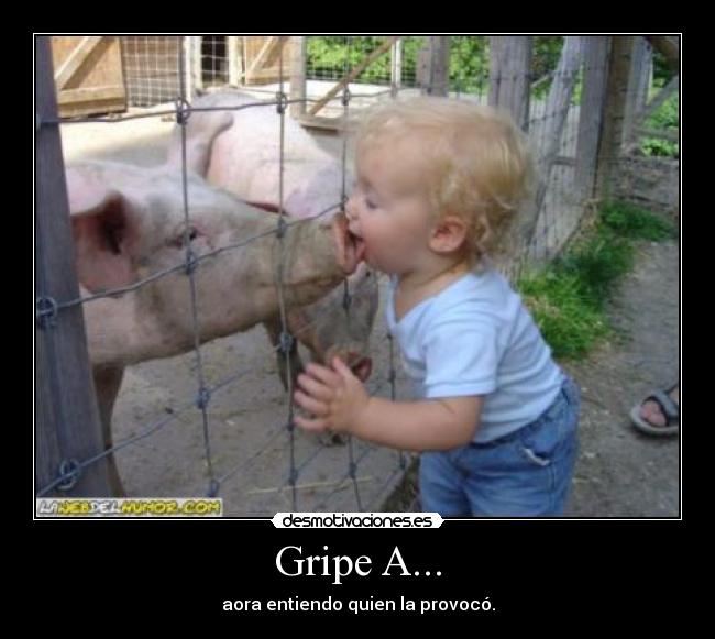 Gripe A... -