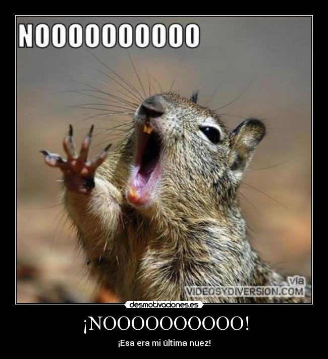 ¡NOOOOOOOOOO! - ¡Esa era mi última nuez!