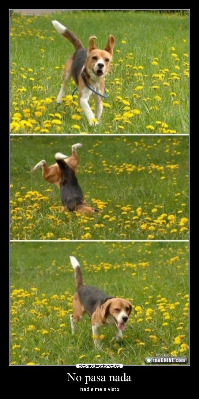 No pasa nada - nadie me a visto