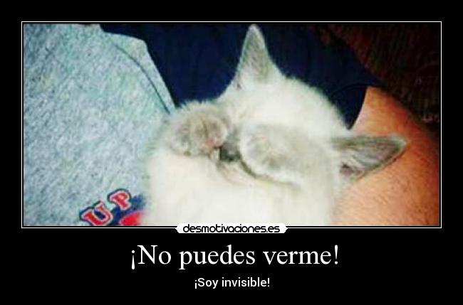 ¡No puedes verme! - ¡Soy invisible!