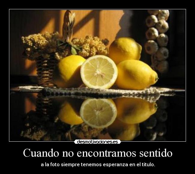 Cuando no encontramos sentido - a la foto siempre tenemos esperanza en el titulo.