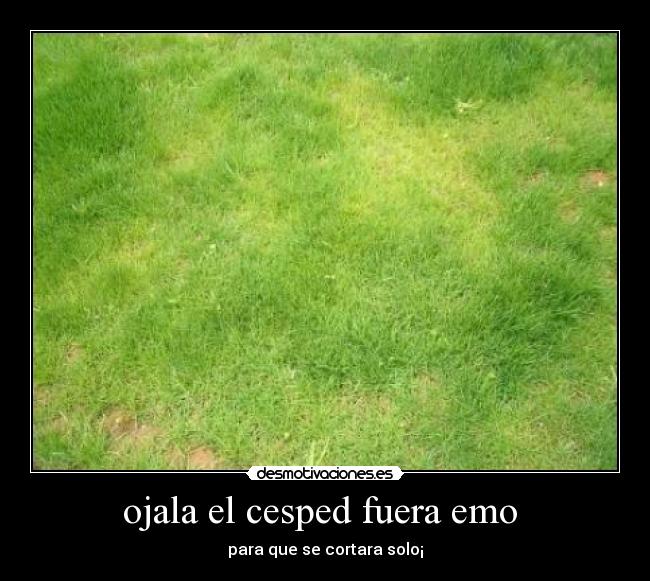 ojala el cesped fuera emo  - 