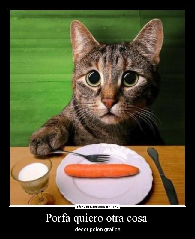 Porfa quiero otra cosa  - descripción gráfica