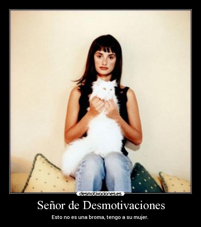 carteles desmotivaciones gatosmujer desmotivacioneses desmotivaciones