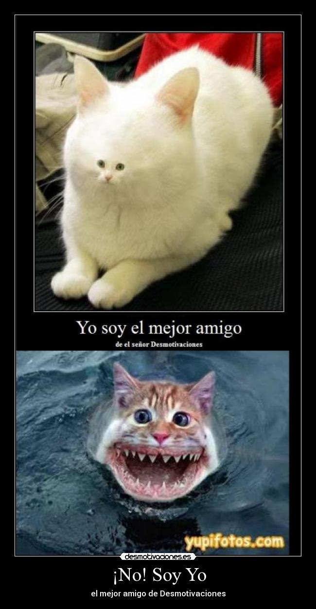 ¡No! Soy Yo - el mejor amigo de Desmotivaciones