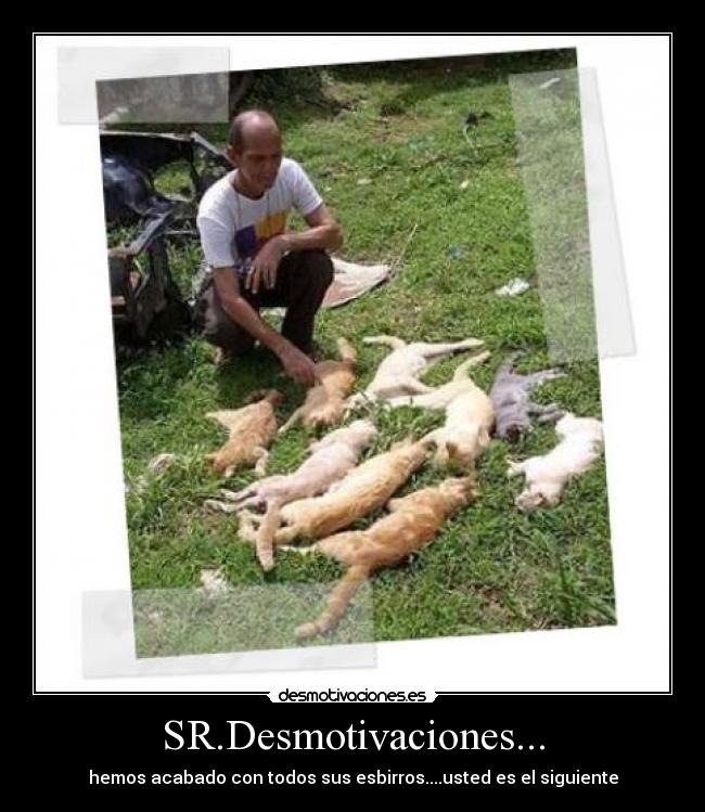 SR.Desmotivaciones... -