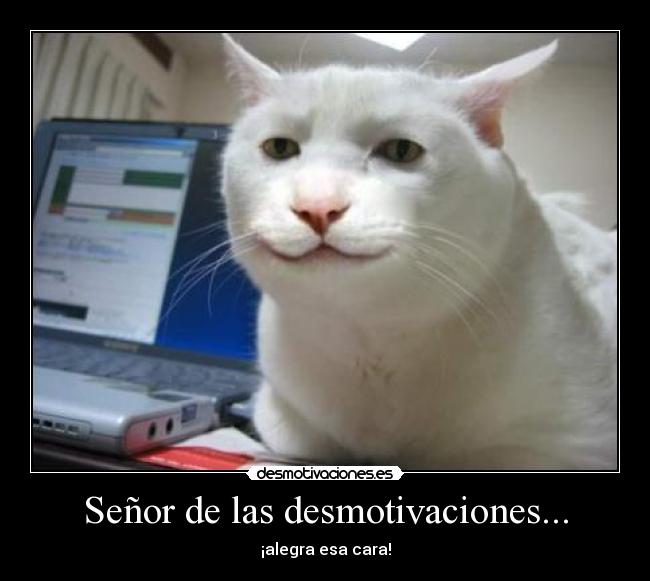 carteles desmotivaciones senor desmotivaciones desmotivaciones