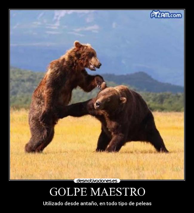 GOLPE MAESTRO - Utilizado desde antaño, en todo tipo de peleas