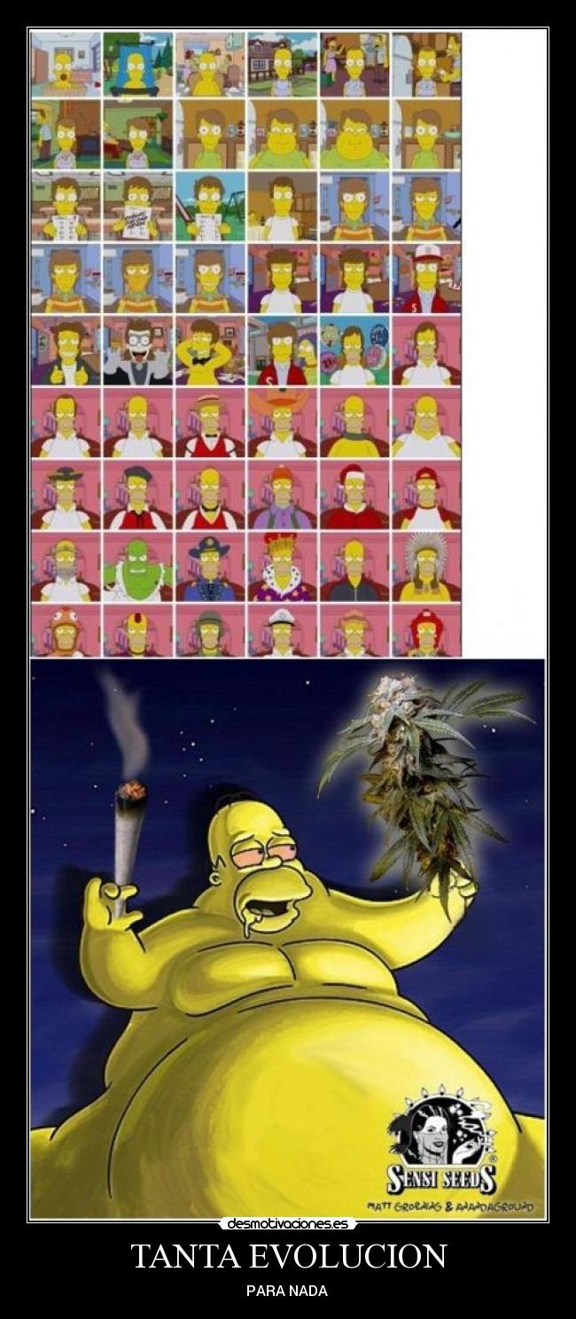 TANTA EVOLUCION - PARA NADA