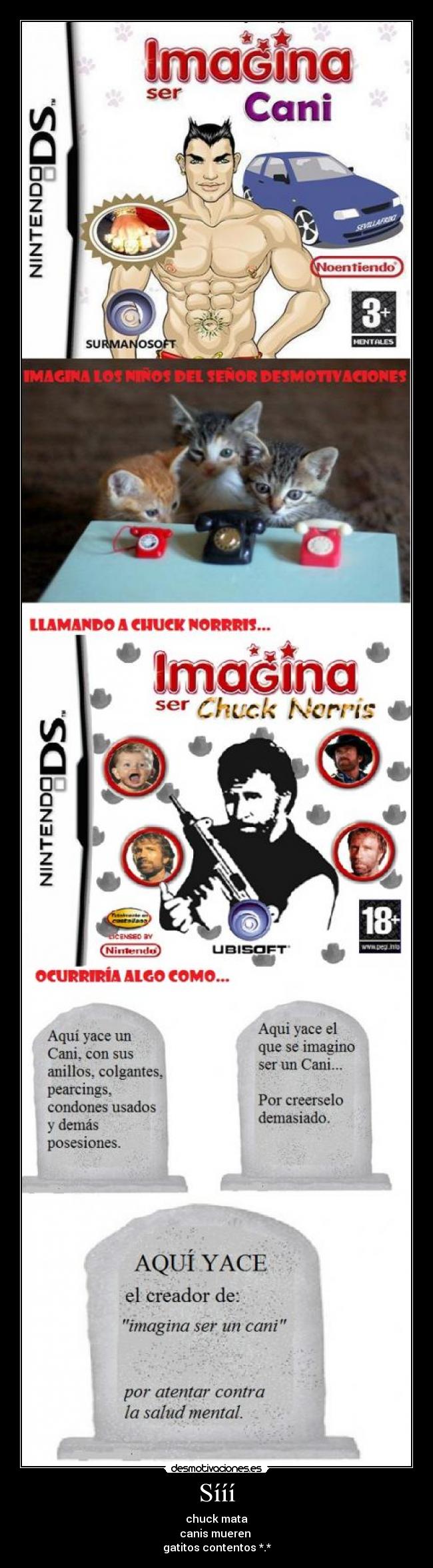 Sííí - chuck mata
canis mueren
gatitos contentos *.*