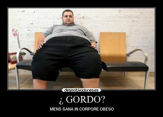 ¿ GORDO? - MENS SANA IN CORPORE OBESO