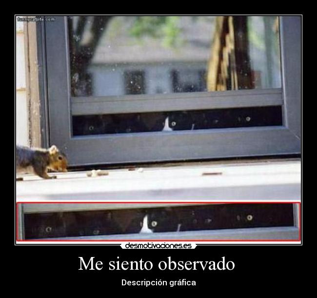 Me siento observado - Descripción gráfica
