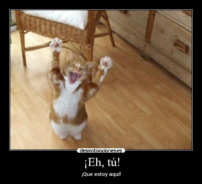 ¡Eh, tú! - ¡Que estoy aquí!