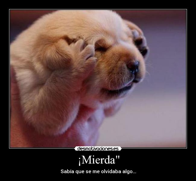 carteles perro facepalm desmotivaciones