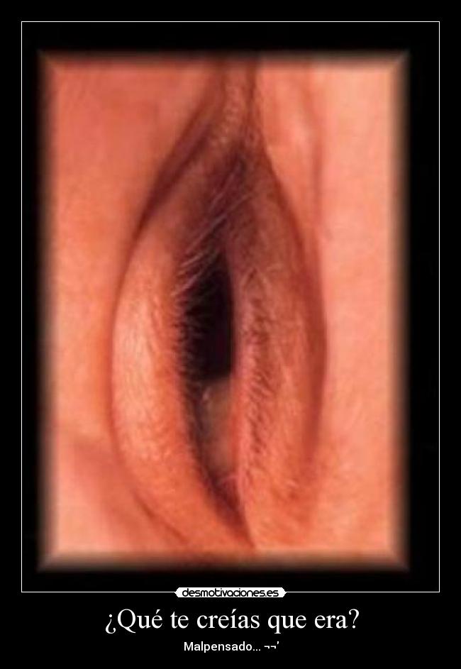 ¿Qué te creías que era? - 