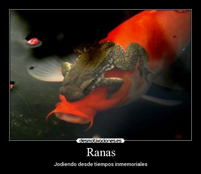 Ranas - Jodiendo desde tiempos inmemoriales