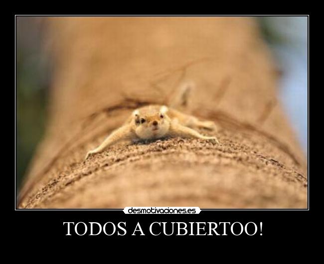 TODOS A CUBIERTOO! -