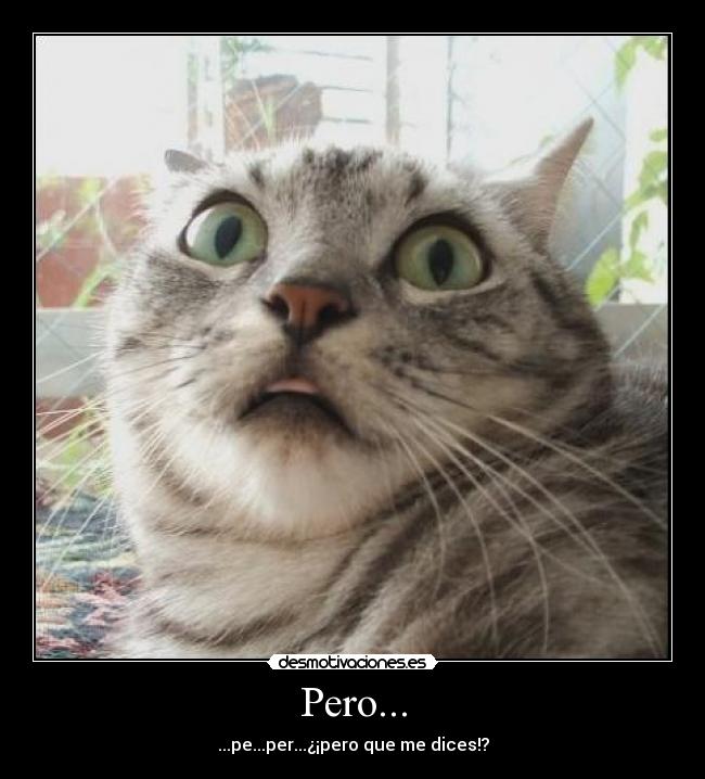 Pero... - ...pe...per...¿¡pero que me dices!?