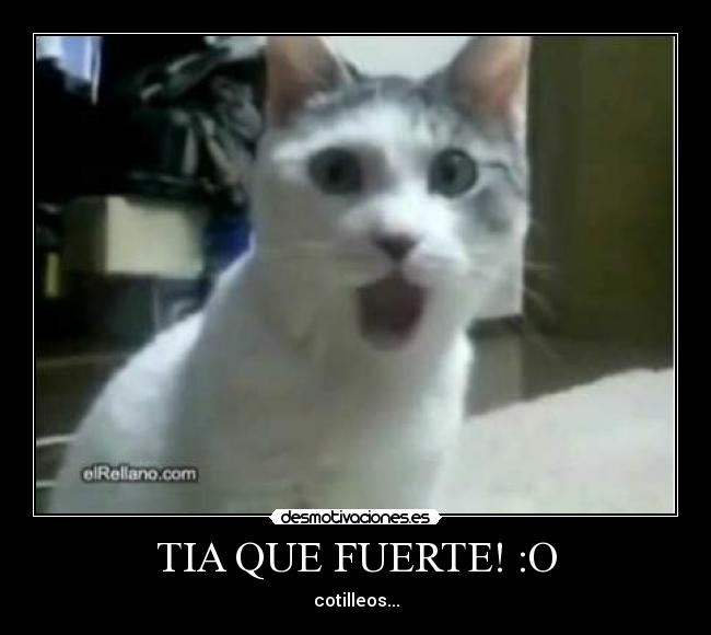 TIA QUE FUERTE! :O - cotilleos...