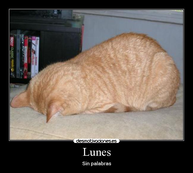 Lunes - Sin palabras