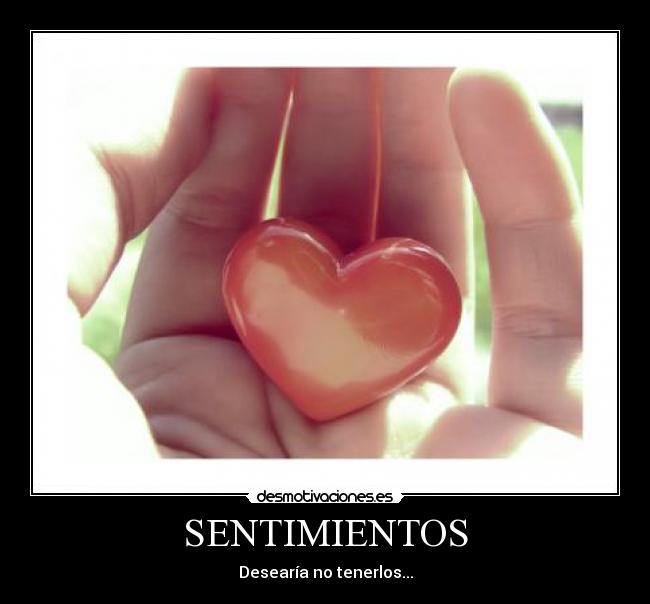 SENTIMIENTOS -