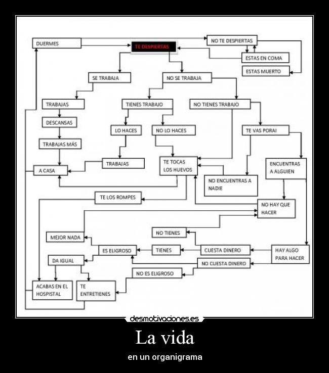 La vida - en un organigrama
