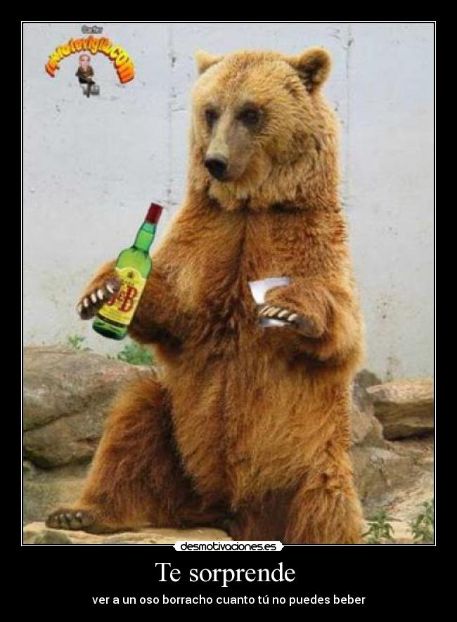 carteles jaja desmotivaciones