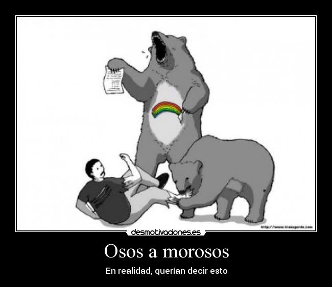 Osos a morosos - En realidad, querían decir esto