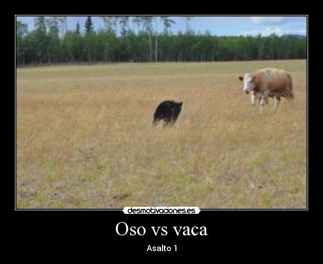 carteles robogonza desmotivaciones