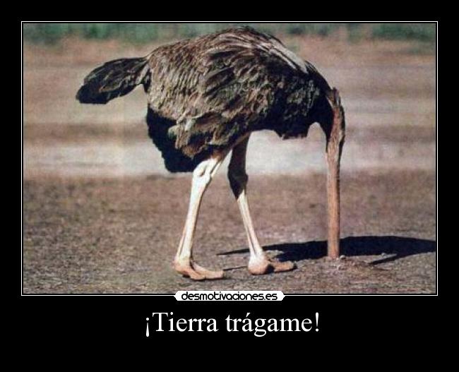 ¡Tierra trágame! - 