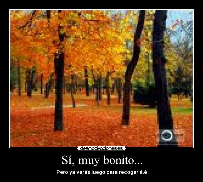 Sí, muy bonito... -