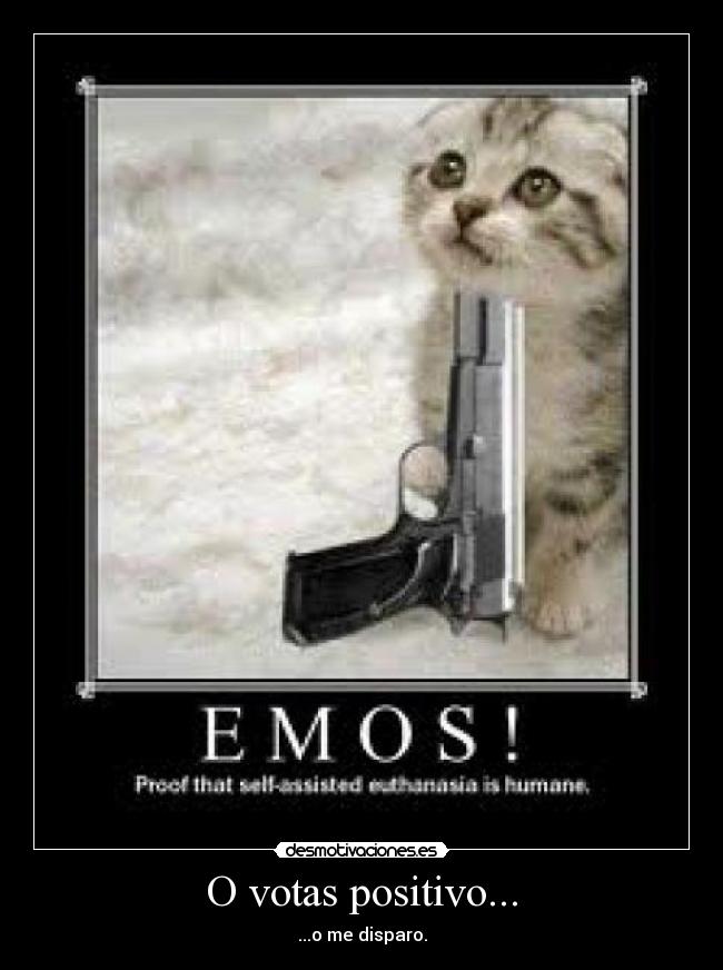 O votas positivo... - ...o me disparo.