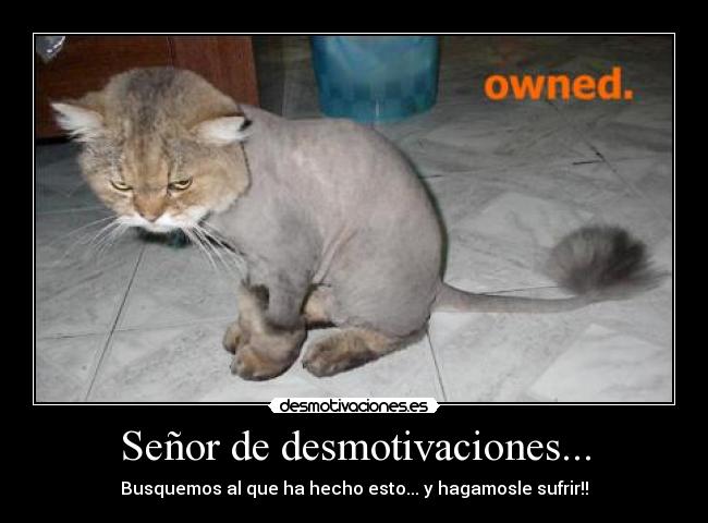 Señor de desmotivaciones... - Busquemos al que ha hecho esto... y hagamosle sufrir!!