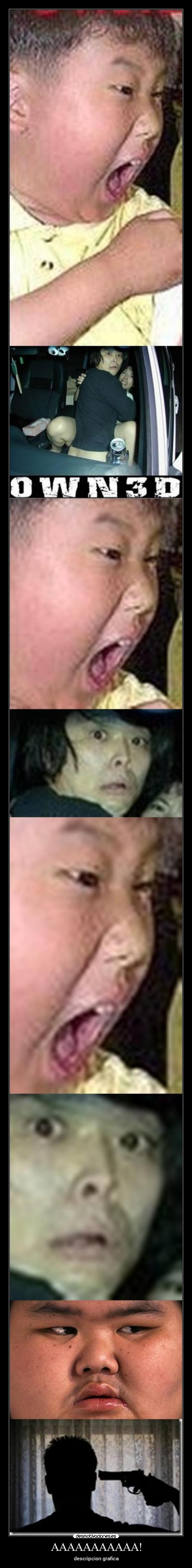 AAAAAAAAAAA! - descripcion grafica