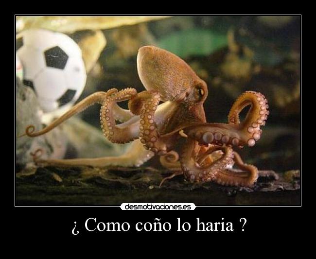 ¿ Como coño lo haria ? - 