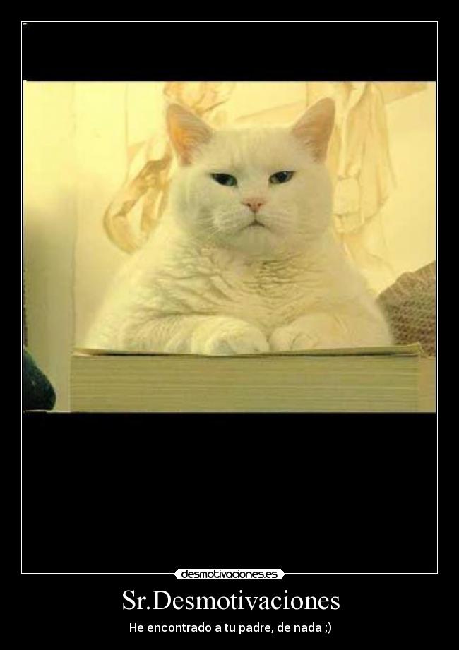 Sr.Desmotivaciones - He encontrado a tu padre, de nada ;)