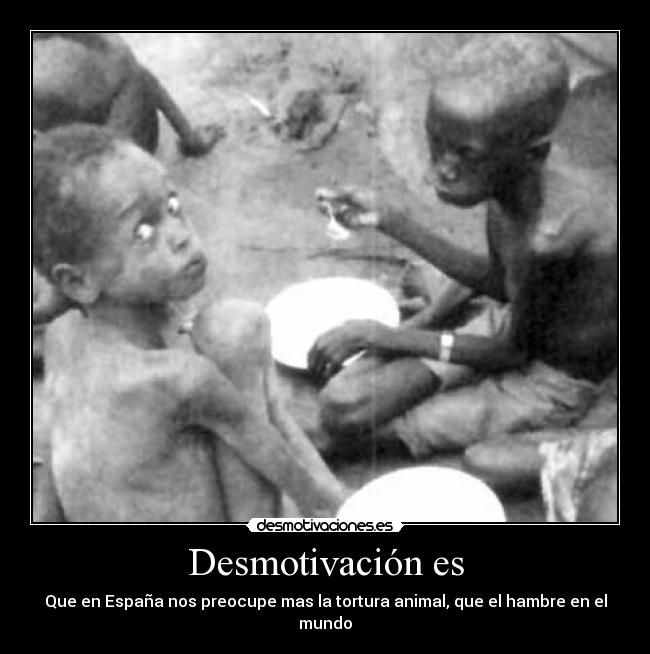 Desmotivación es - Que en España nos preocupe mas la tortura animal, que el hambre en el mundo