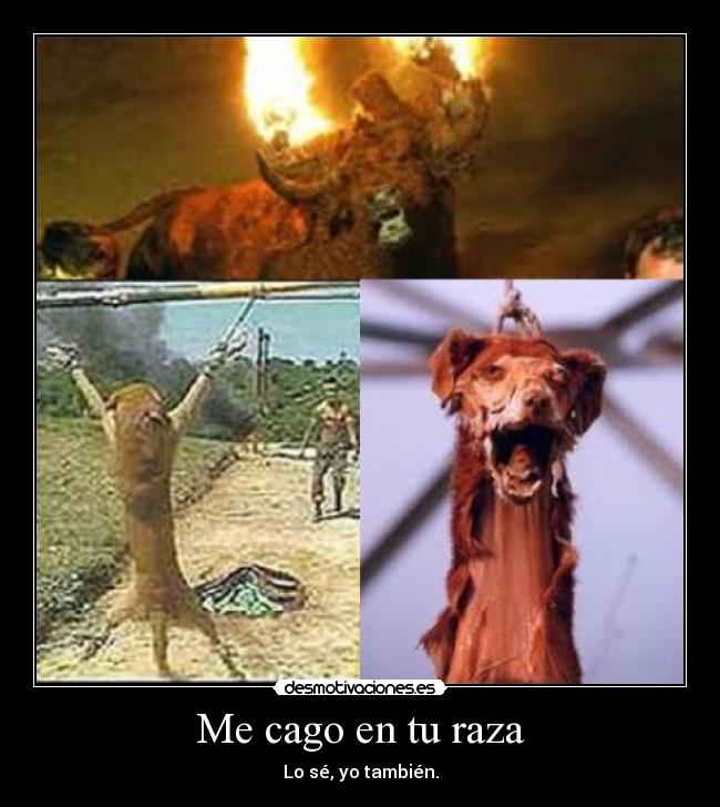 Me cago en tu raza - 