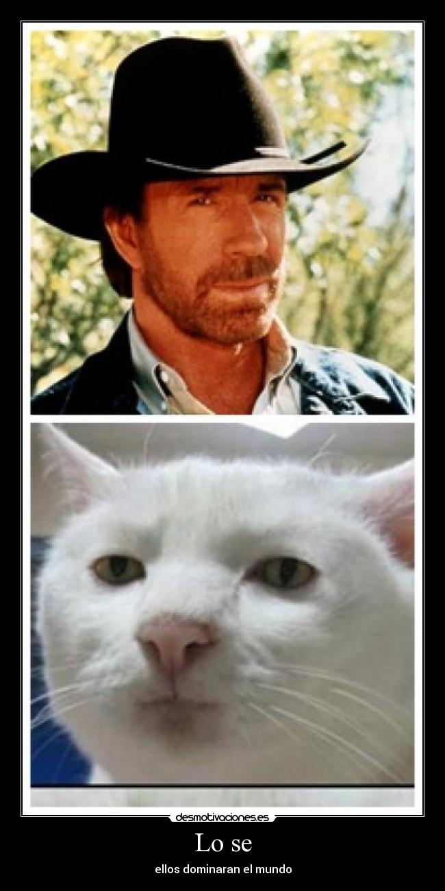 Lo se - ellos dominaran el mundo