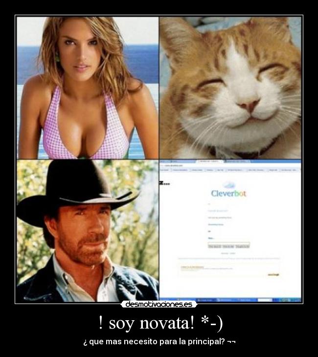 ! soy novata! *-) - ¿ que mas necesito para la principal? ¬¬