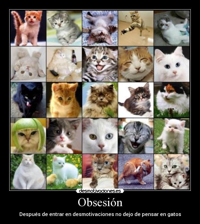 Obsesión - 