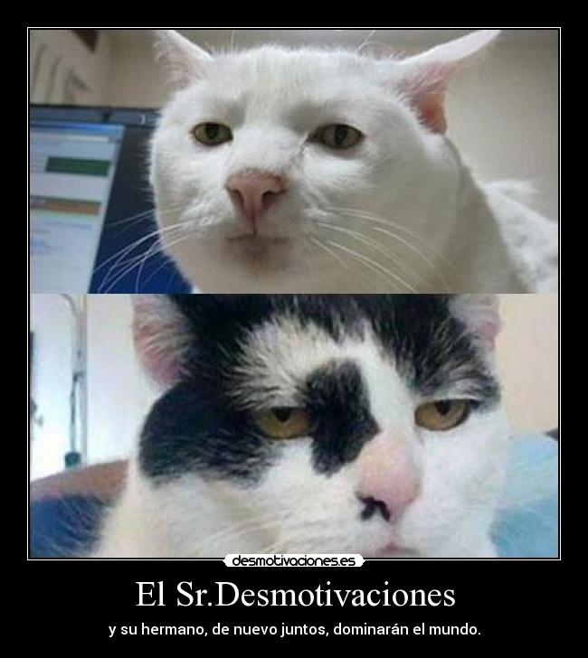 El Sr.Desmotivaciones - y su hermano, de nuevo juntos, dominarán el mundo.